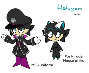 halcyon ref