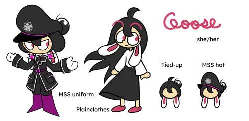 Goose reference sheet