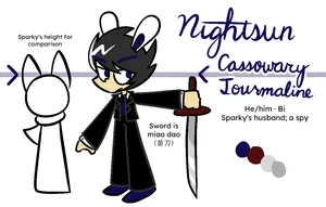nightsun ref