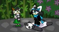 sparky fern panda