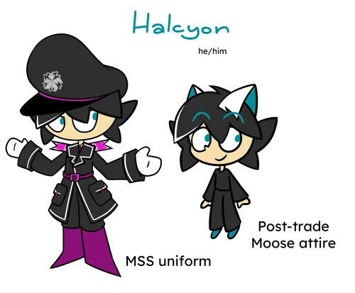 Halcyon reference sheet