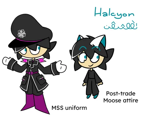 Halcyon reference sheet
