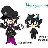 halcyon ref