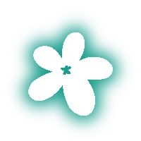 jasmine soul
